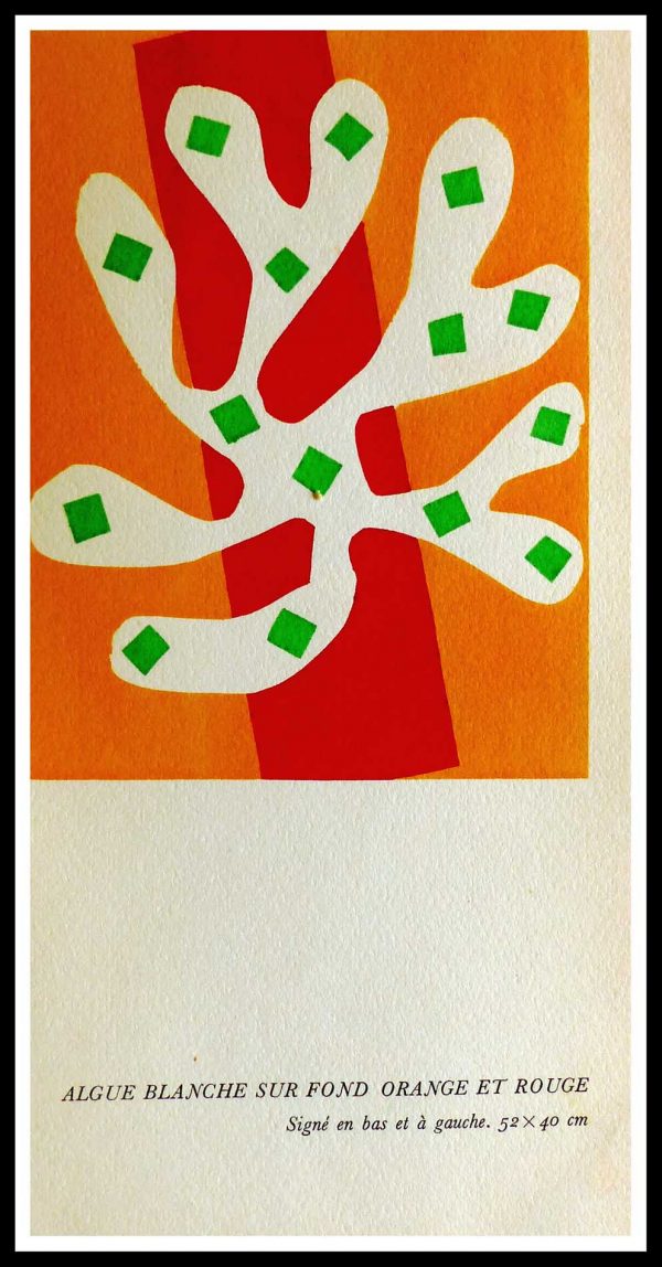 (alt="original stencil Henri MATISSE - Algue blanche sur fond orange et rouge, 1953, printed by Mourlot, 1000 copies, catalogue Berggruen")