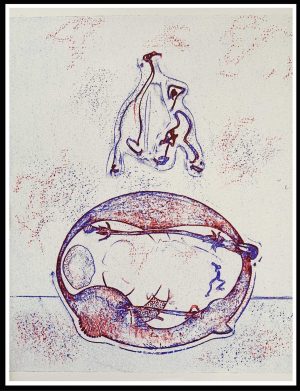 (alt="original lithograph, Max ERNST, Après moi, surrealist lithograph, 1971, printed by Imprimerie CHAVE")
