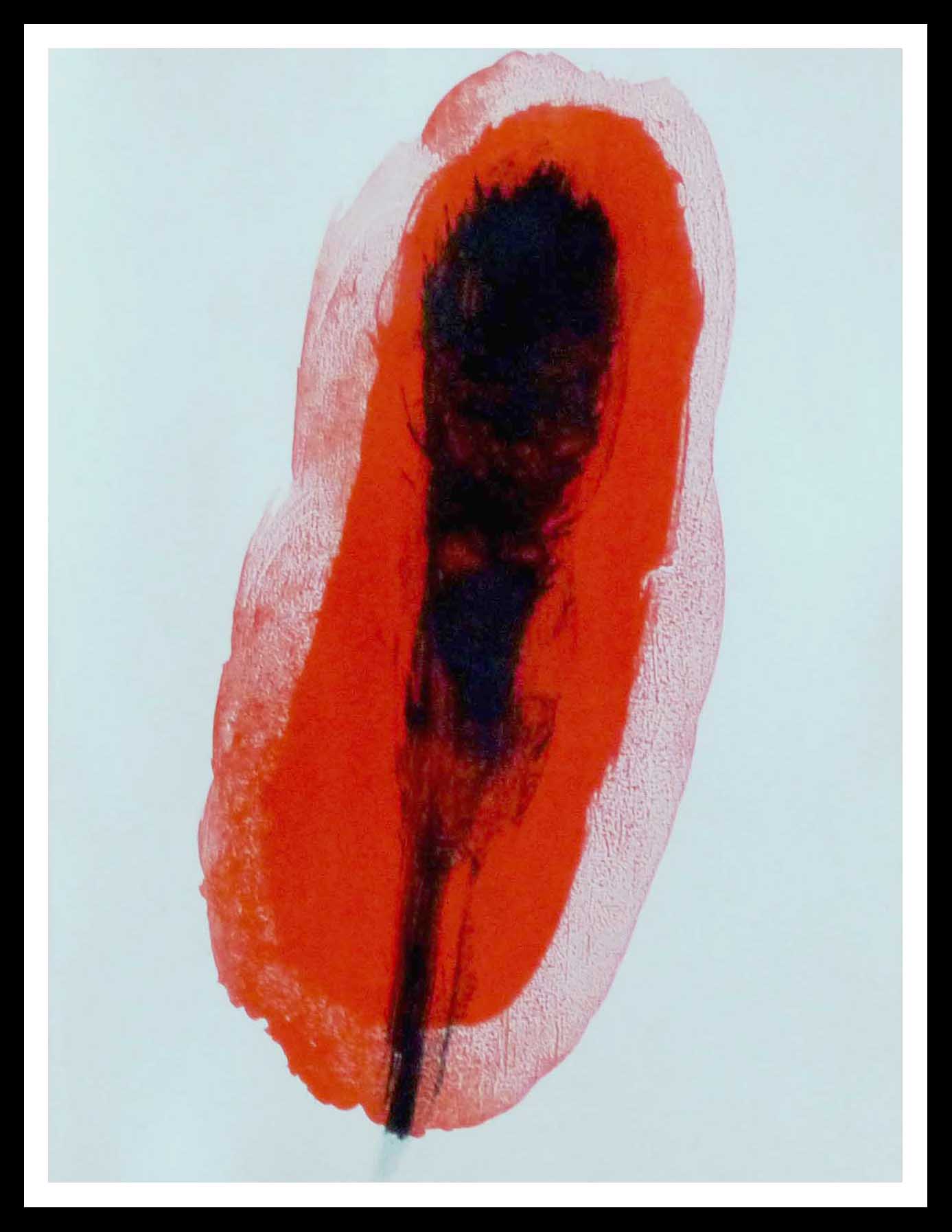 L anneau I - lithographie originale MIRO 1961 Text au verso comme publié 38 x 28 cm (alt="L anneau I - lithographie originale MIRO 1961 Text au verso comme publié 38 x 28 cm printed by ARTE")