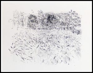 champs de seigle 46 x36 cm Raoul Dufy 1949