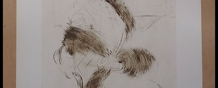 Helleu,-Bibliotheque-Nationale_02