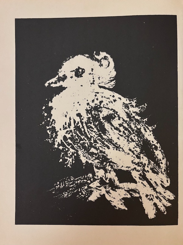 8DAEF290-C6EE-43F4-B7FA-BC44BFC1729D_1_201_a