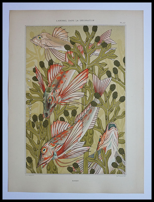 L'Animal de la Decoration,Lithographie,29