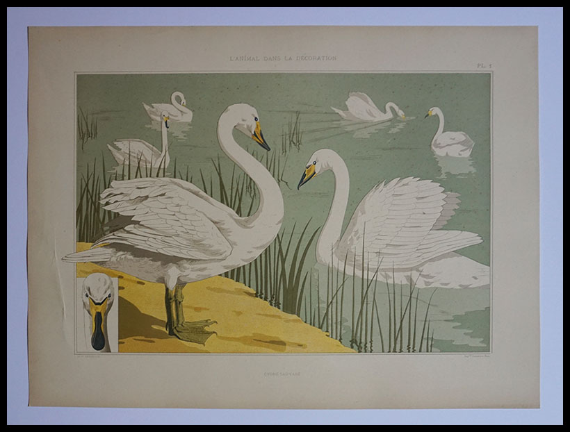 L'Animal de la Decoration,Lithographie,38
