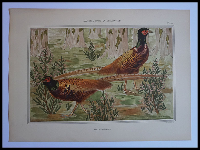 L'Animal de la Decoration,Lithographie,46