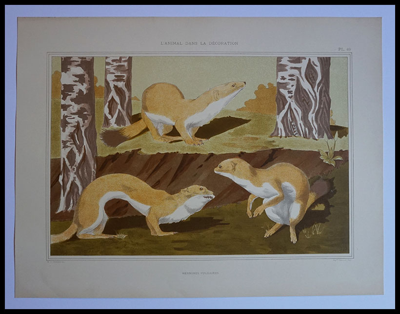 L'Animal de la Decoration,Lithographie,47