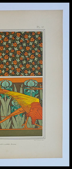 L'Animal-de-la-Decoration,Lithographie,49_03