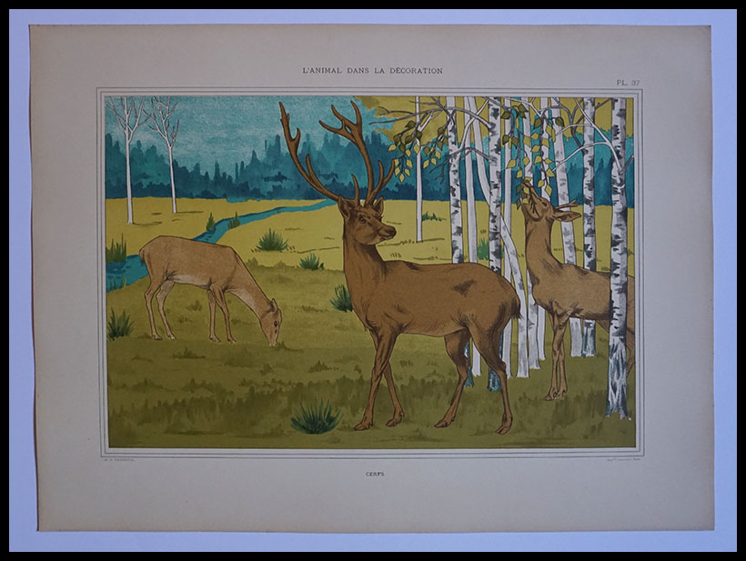 L'Animal de la Decoration,Lithographie,51