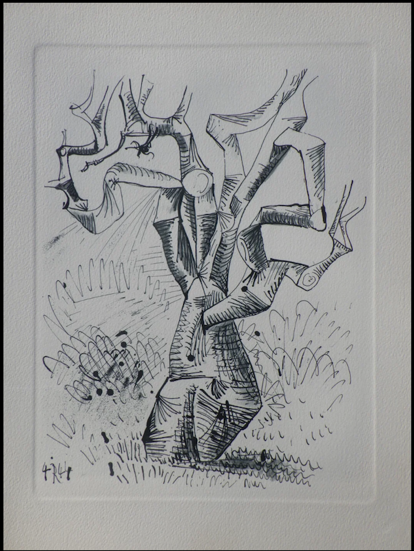 Pablo PICASSO : le vieil arbre en hiver, 1952